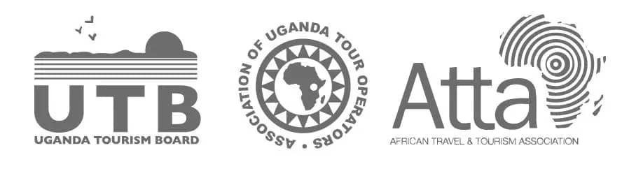 Jetulife Adventure Safari Logo